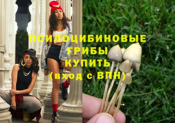 не бодяженный Абаза